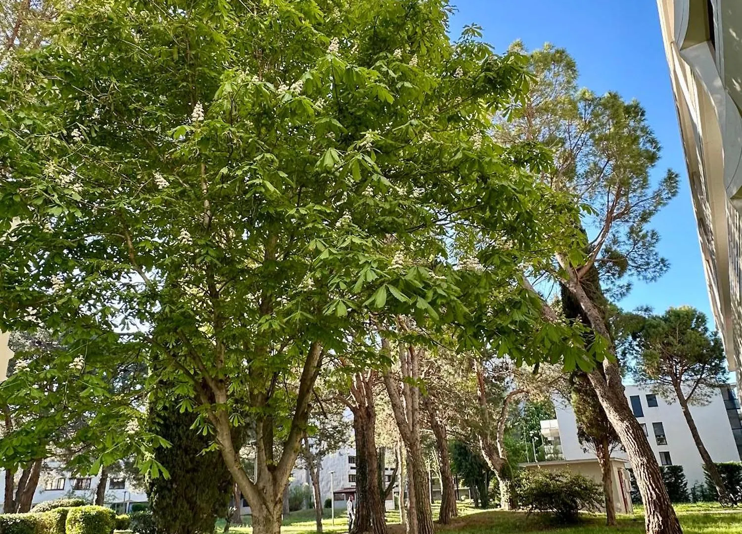Le 409 Climatise, Rooftop, Parking, A 10 Min Du Centre Ville D'Aix En Provence Aix-en-Provence